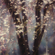 Illustration for article titled Here Are National Geographic Travelers Best Photos of 2013